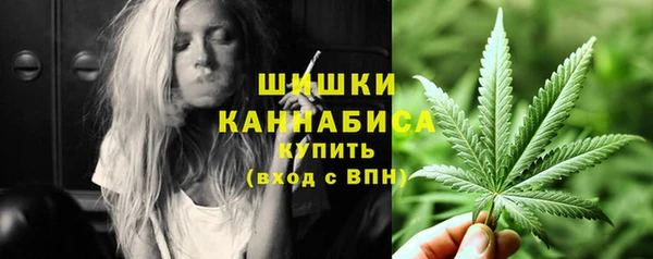 ПСИЛОЦИБИНОВЫЕ ГРИБЫ Баксан