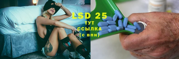 ПСИЛОЦИБИНОВЫЕ ГРИБЫ Баксан