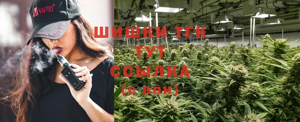 ПСИЛОЦИБИНОВЫЕ ГРИБЫ Баксан