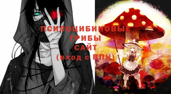 ПСИЛОЦИБИНОВЫЕ ГРИБЫ Баксан