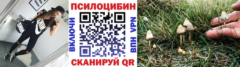 Псилоцибиновые грибы прущие грибы  Купить где  Данилов 
