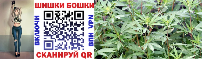 Купить Данилов Каннабис ГИДРОПОН